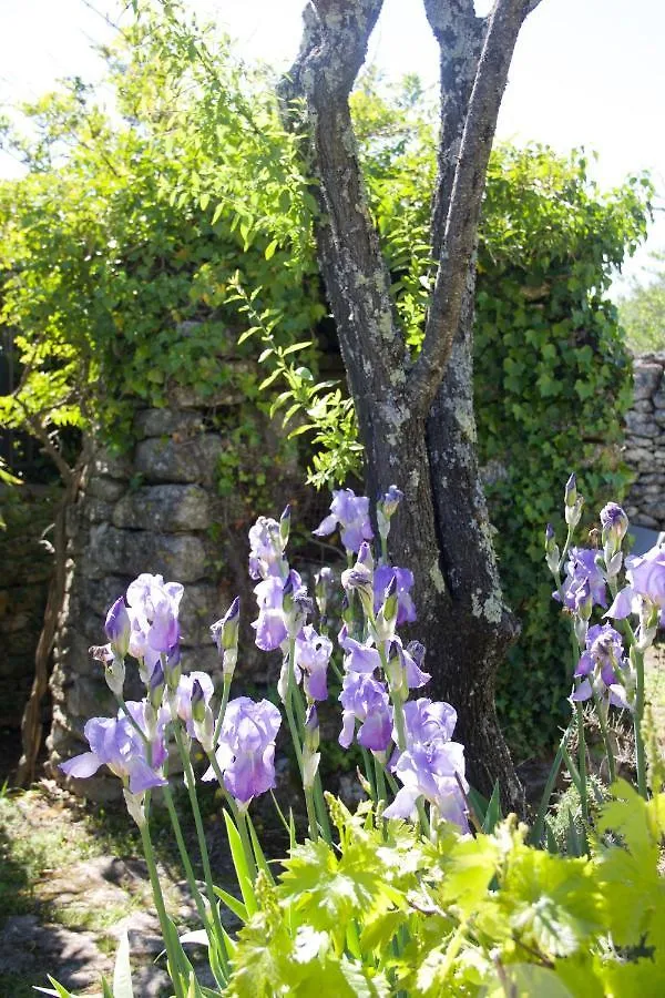 Mas De La Beaume Hotel Gordes